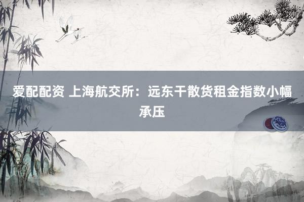 爱配配资 上海航交所：远东干散货租金指数小幅承压