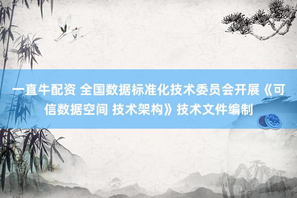 一直牛配资 全国数据标准化技术委员会开展《可信数据空间 技术架构》技术文件编制