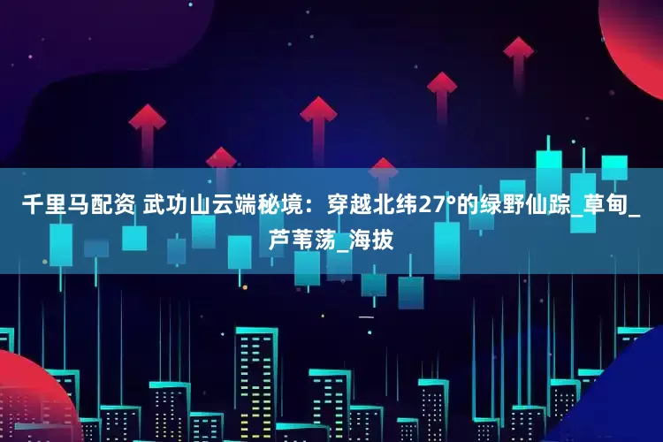 千里马配资 武功山云端秘境：穿越北纬27°的绿野仙踪_草甸_芦苇荡_海拔