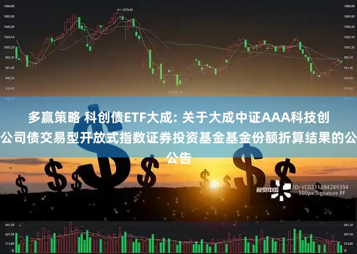 多赢策略 科创债ETF大成: 关于大成中证AAA科技创新公司债交易型开放式指数证券投资基金基金份额折算结果的公告